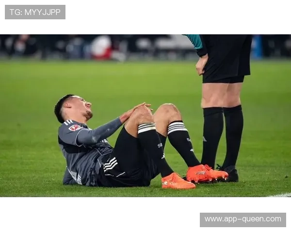 法兰克福新援埃布努塔利布:从非洲联赛到德甲适应之路 法兰克福新援埃布努塔利布:从非洲联赛到德甲适应之路